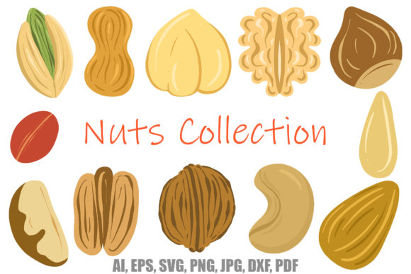 Nature-Inspired Visuals: Brazil Walnut Design Collection